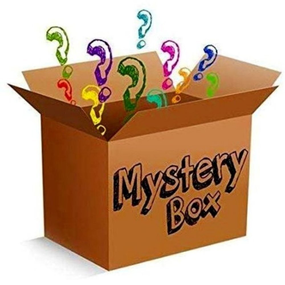 Mystery Box -Paparazzi Jewelry 20  for $100